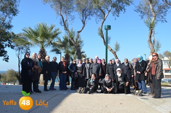 nesa2 jamahery (1).jpg